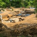 人類用火的歷史