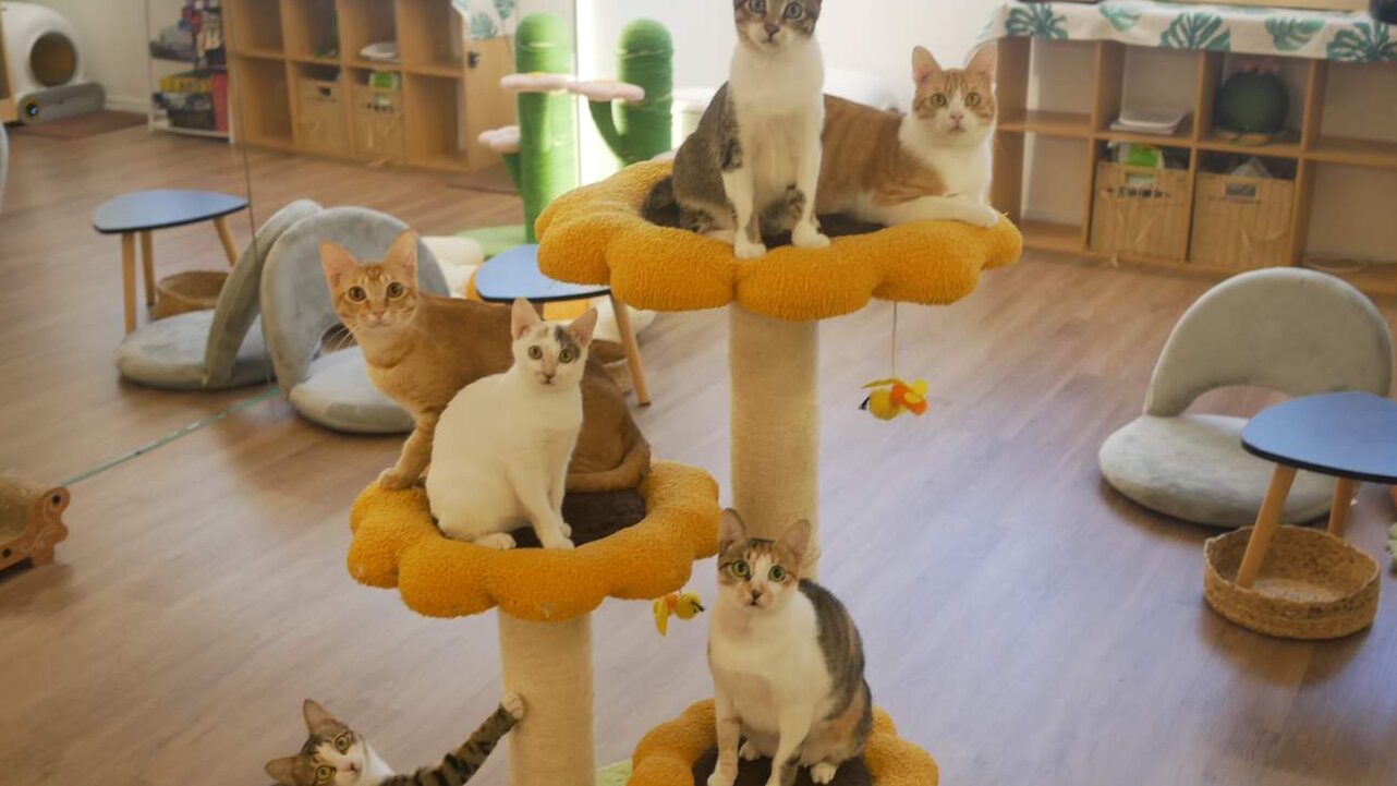 觀塘工廈一日遊懶人包