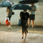 天文台暴雨警告懶人包