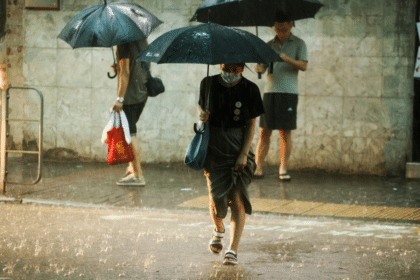 天文台暴雨警告懶人包