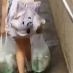 富泰邨女童拎啤酒懶人包