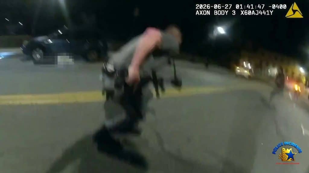 少年跳橋遭警殺懶人包